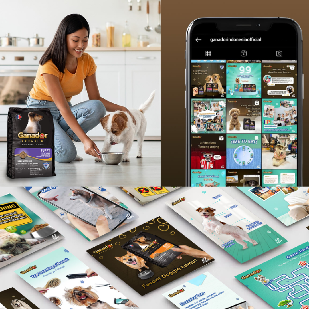 Portfolio Preview - Ganador - Crowd Creative Network