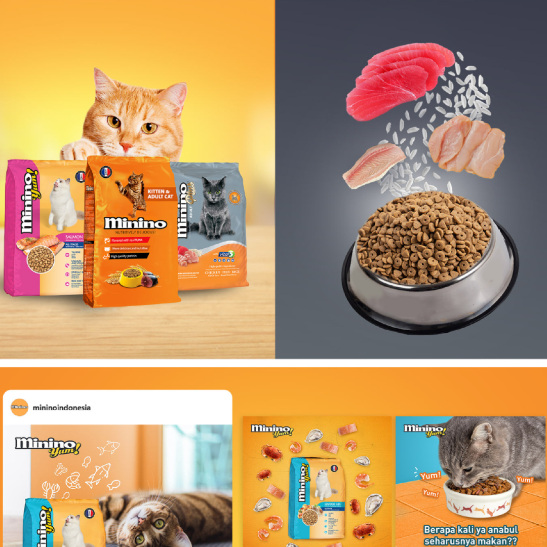 Portfolio Preview - Minino- Crowd Creative Network